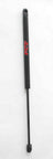 FCS 84408 Liftgate Lift Support
