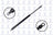 FCS 84435 Hatch Lift Support