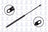 FCS 84442 Tailgate Lift Support