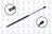 FCS 84443 Hatch Lift Support