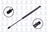 FCS 84455 Hatch Lift Support