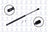 FCS 84526 Tailgate Lift Support