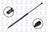 FCS 84557 Liftgate Lift Support