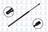 FCS 84574 Liftgate Lift Support