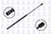 FCS 84586 Hatch Lift Support - Rear