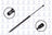 FCS 84593 Liftgate Lift Support