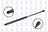 FCS 84649 Tailgate Lift Support