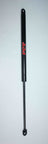 FCS 84670 Hatch Lift Support