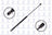 FCS 84722 Hatch Lift Support