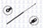 FCS 84757 Tailgate Lift Support