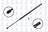 FCS 84849 Liftgate Lift Support