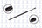 FCS 84964 Liftgate Lift Support