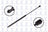 FCS 86109 Liftgate Lift Support