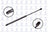 FCS 86122 Liftgate Lift Support