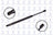FCS 86172 Hatch Lift Support