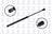 FCS 86189 Hatch Lift Support