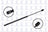 FCS 86192 Back Glass Lift Support