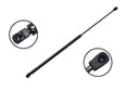 FCS 86195 Hood Lift Support - Front