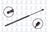 FCS 86197 Liftgate Lift Support