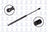 FCS 86204 Tailgate Lift Support