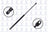 FCS 86247 Liftgate Lift Support