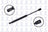 FCS 86250 Trunk Lid Lift Support - Rear