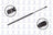 FCS 86257 Liftgate Lift Support