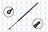 FCS 86268 Hatch Lift Support - Rear