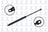 FCS 86272 Trunk Lid Lift Support - Rear