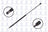 FCS 86310 Hood Lift Support