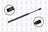 FCS 86328 Hood Lift Support