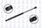 FCS 86351 Hood Lift Support - Front