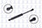 FCS 86364 Hood Lift Support