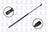 FCS 86368 Hatch Lift Support - Rear