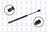 FCS 86372 Hood Lift Support - Front