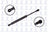 FCS 86432 Trunk Lid Lift Support
