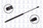 FCS 86451 Hatch Lift Support