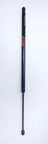 FCS 86486 Liftgate Lift Support