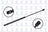 FCS 86498 Trunk Lid Lift Support - Rear