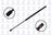 FCS 86501 Hatch Lift Support - Rear