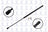 FCS 86514 Hatch Lift Support - Rear