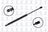 FCS 86522 Hatch Lift Support