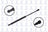 FCS 86631 Trunk Lid Lift Support