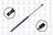 FCS 86665 Tailgate Lift Support