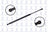 FCS 86677 Tailgate Lift Support