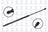 FCS 86777 Tailgate Lift Support