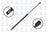 FCS 86780 Liftgate Lift Support