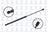 FCS 86791 Hatch Lift Support - Rear