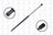 FCS 86792 Hood Lift Support - Front