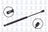 FCS 86807 Trunk Lid Lift Support - Rear